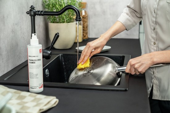 Paslanmaz çelik için temizlik spreyi, 250 ml, "ZWILLING Plus" - Zwilling