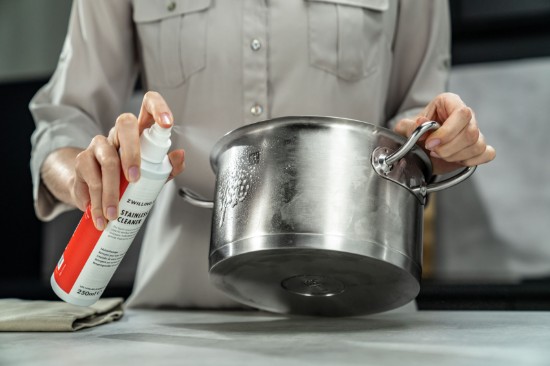 Paslanmaz çelik için temizlik spreyi, 250 ml, "ZWILLING Plus" - Zwilling