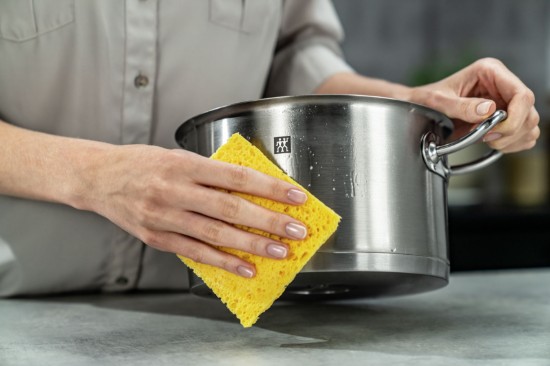 Paslanmaz çelik için temizlik spreyi, 250 ml, "ZWILLING Plus" - Zwilling