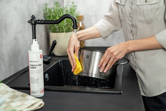Paslanmaz çelik için temizlik spreyi, 250 ml, "ZWILLING Plus" - Zwilling