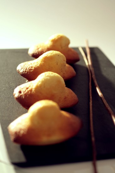 Silikona veidne 9 madlēniem, 30 x 17,6 cm - "de Buyer" zīmols