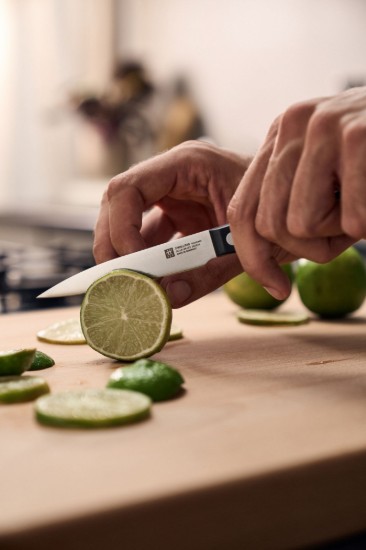 Schilmesje, 10 cm, ZWILLING Gourmet - Zwilling