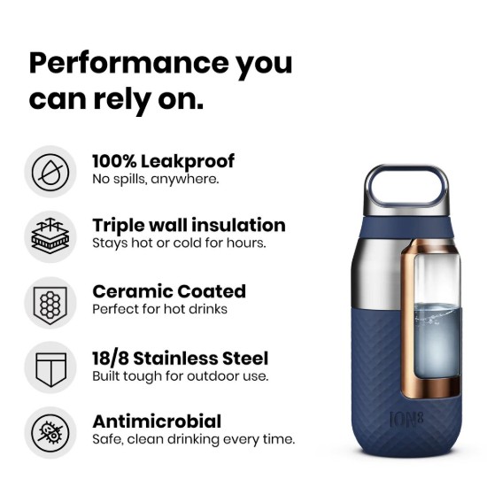 Flixkun tal-ilma ROM, Stainless steel, 320 ml, Blossom - Ion8