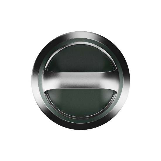 Flixkun tal-ilma ROAM, azzar li ma jissaddadx, 835 ml, Forest Green - Ion8