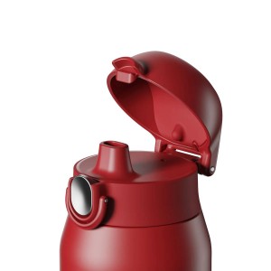 Flixkun tal-ilma REVIVE, azzar li ma jissaddadx, 540 ml, Red Fire - Ion8
