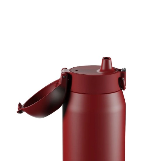 Flixkun tal-ilma REVIVE, azzar li ma jissaddadx, 540 ml, Red Fire - Ion8