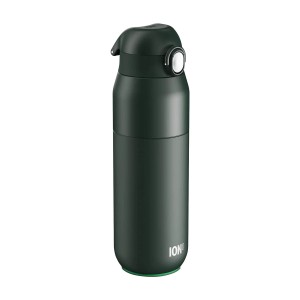 Flixkun tal-ilma REVIVE, azzar li ma jissaddadx, 540 ml, Forest Green - Ion8