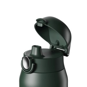 Flixkun tal-ilma REVIVE, azzar li ma jissaddadx, 540 ml, Forest Green - Ion8