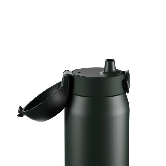 Flixkun tal-ilma REVIVE, azzar li ma jissaddadx, 540 ml, Forest Green - Ion8