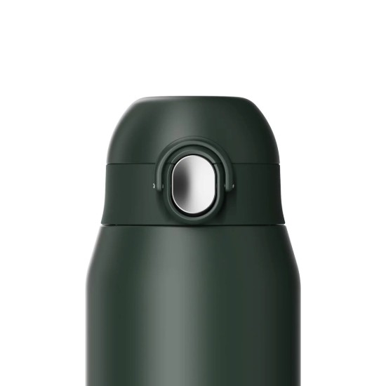Flixkun tal-ilma REVIVE, azzar li ma jissaddadx, 540 ml, Forest Green - Ion8