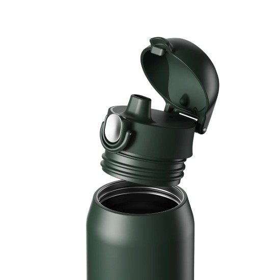 Flixkun tal-ilma REVIVE, azzar li ma jissaddadx, 540 ml, Forest Green - Ion8