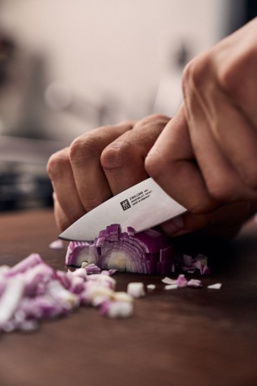 Μαχαίρι αποφλοίωσης, 10 cm, <<ZWILLING Pro>> - Zwilling