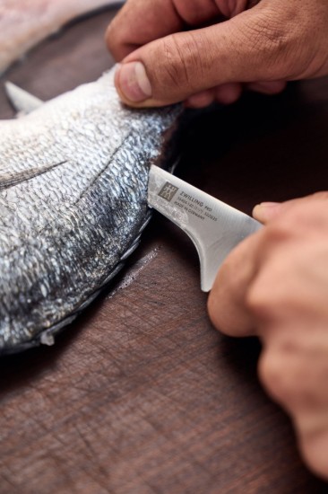 Fillet knife, 14 cm, <<ZWILLING Pro>> - Zwilling