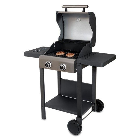 Gríoscán leictreach lasmuigh Buddy, 2600W - Unold