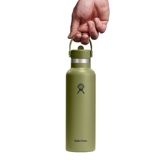 Termoizolacijska boca, nehrđajući čelik, 620 ml, "Standard Straw", Palmer Green - Hydro Flask