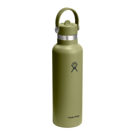 Termoizolacijska boca, nehrđajući čelik, 620 ml, "Standard Straw", Palmer Green - Hydro Flask