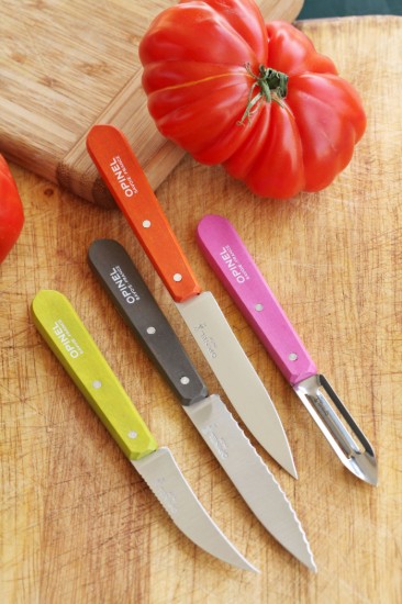 4-piece knife set, stainless steel, "Les Essentiels" - Opinel