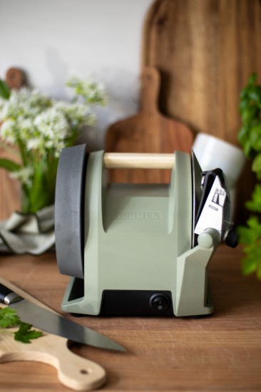Tormek T-1 knife sharpener, 120 W, Ash Green - Tormek
