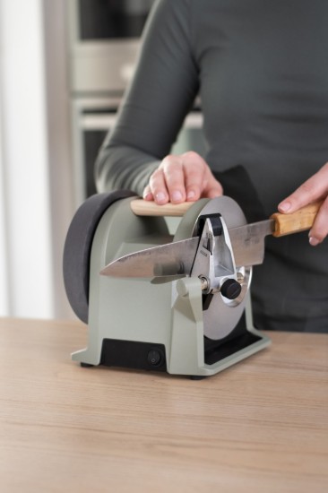 Tormek T-1 knife sharpener, 120 W, Ash Green - Tormek