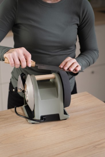 Tormek T-1 knife sharpener, 120 W, Ash Green - Tormek